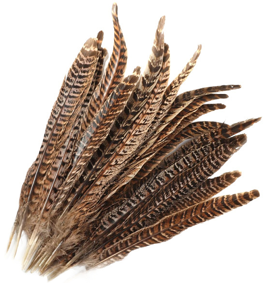 decorative-pheasant-feathers-bundle