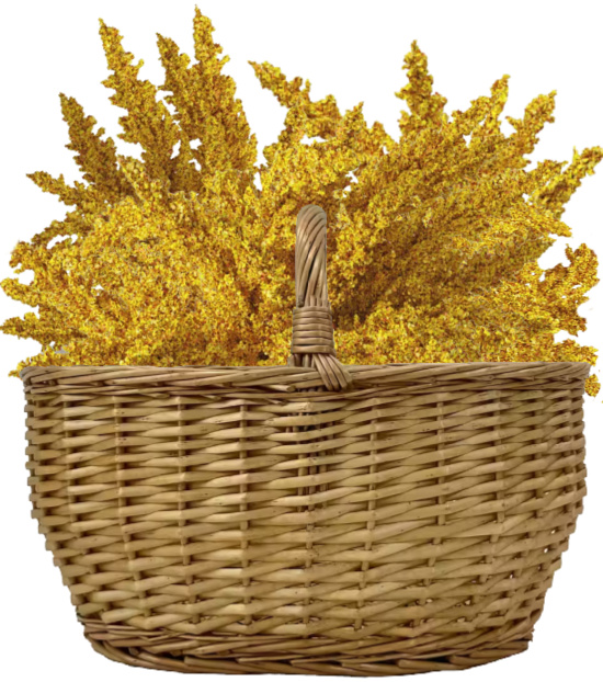 dried-fall-flowers-in-basket