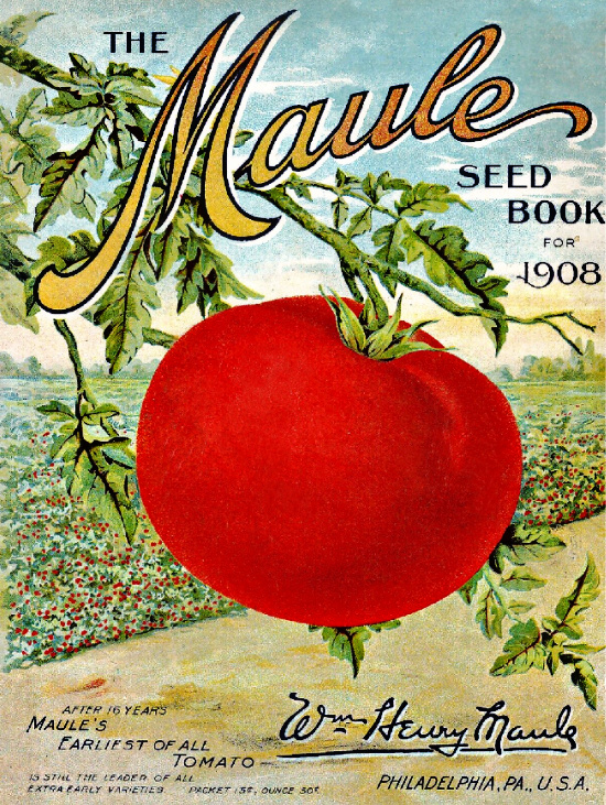 Maule Seed Book 1908 seeds cover print