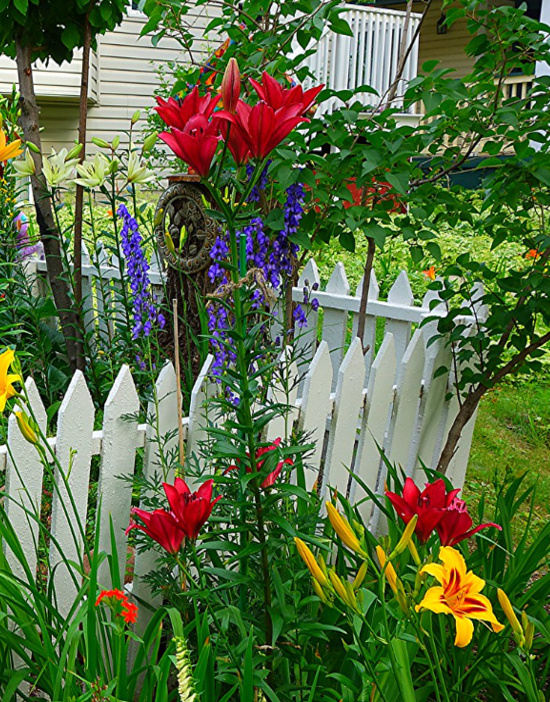 cottage-garden-fence-yard
