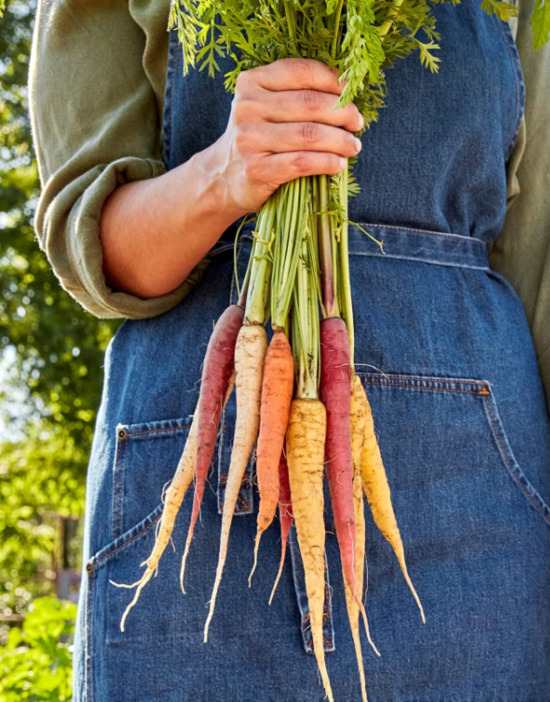garden-grown-carrots
