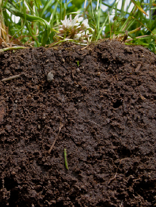 ground soil 