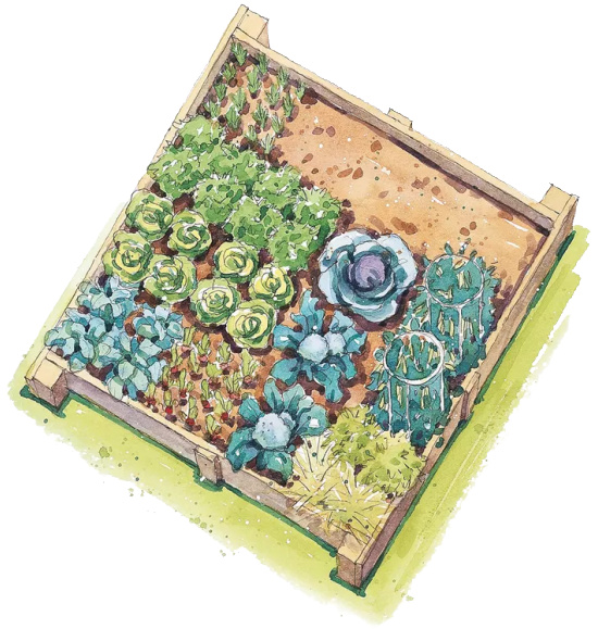 spring-vegetable-garden-plan