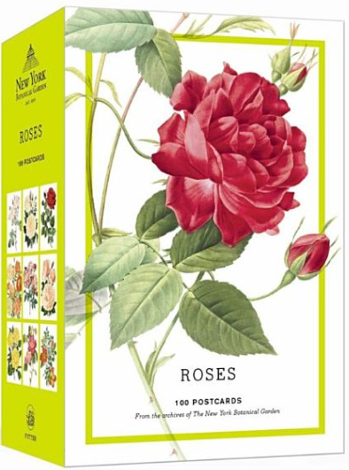 New York Botanical Garden Roses  100 Postcards from the Archives of the New York Botanical Garden (Cards)