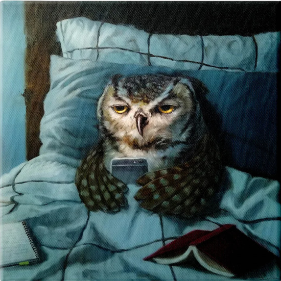 Night Owl Canvas Wall Art