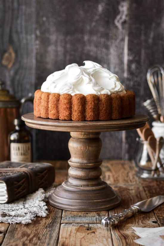 pumpkin-Charlotte-cake-with-whipped-cream-icing 