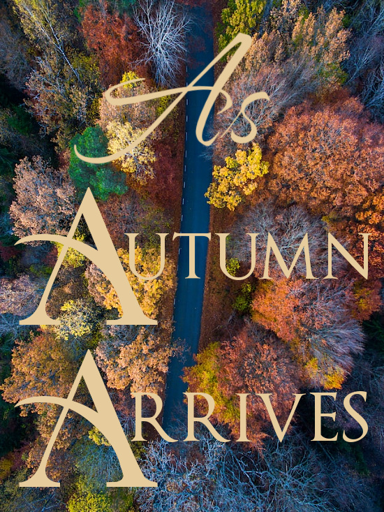 autumn-arrives